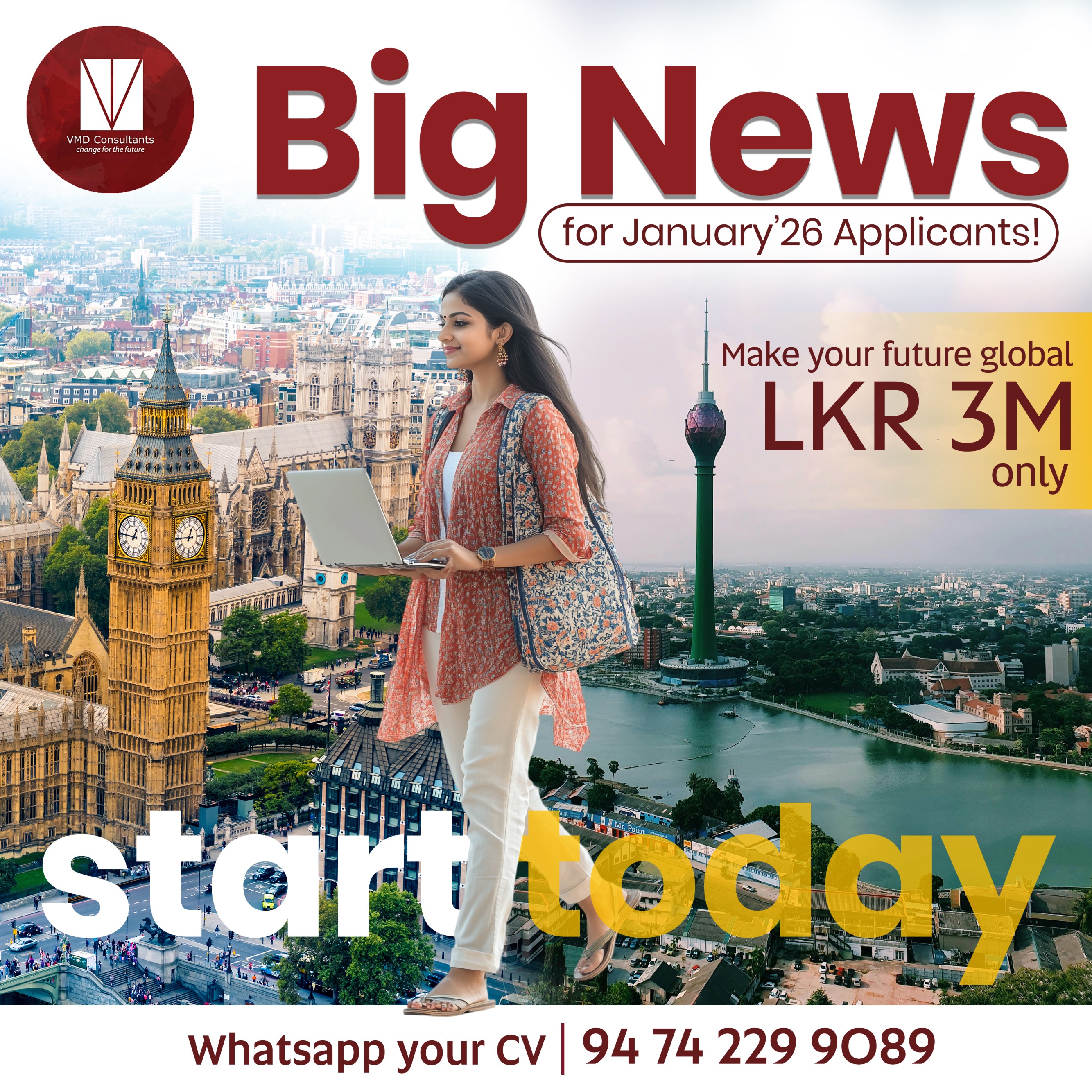 VMD Consulting Campaign Creative 14