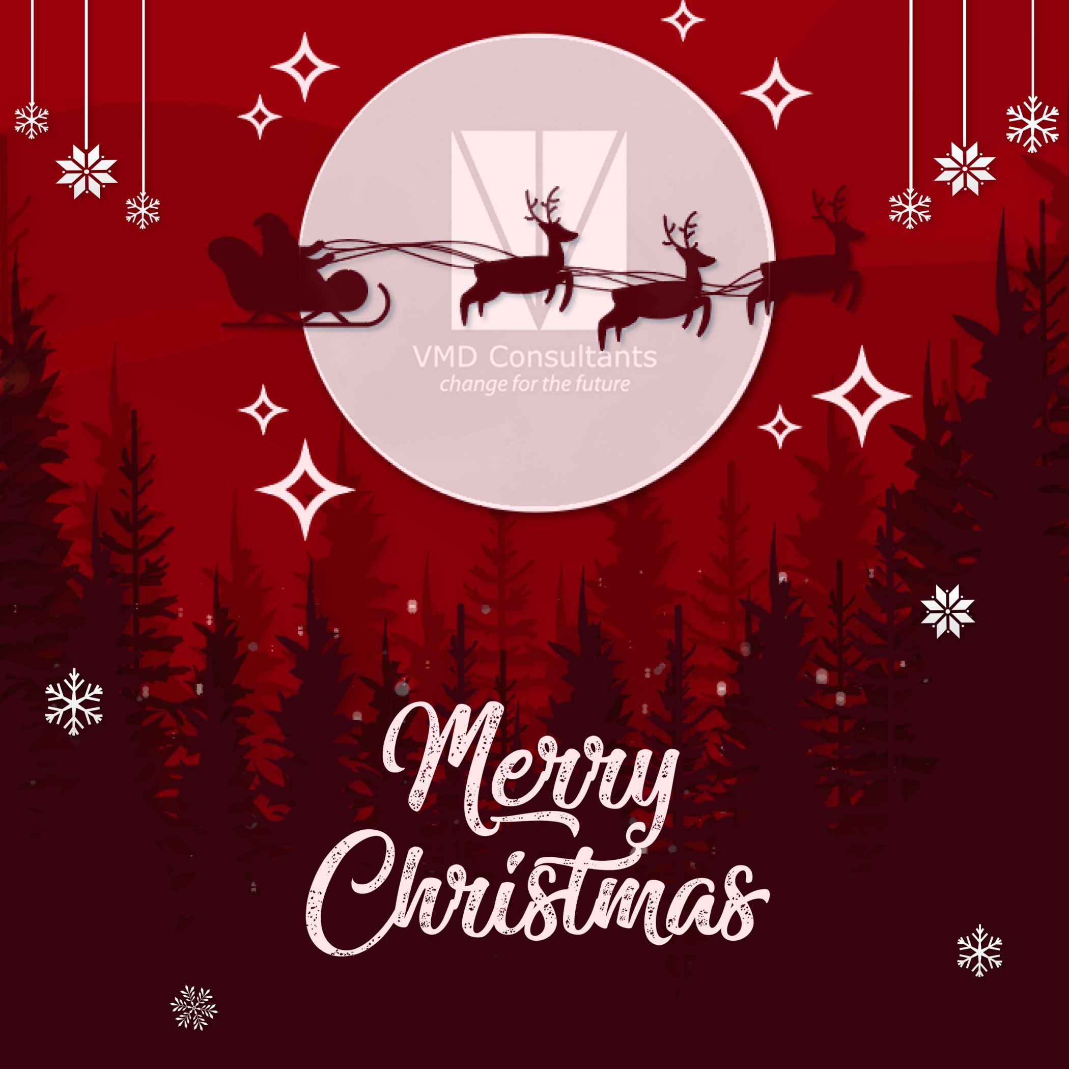 VMD Consulting Campaign Creative 15