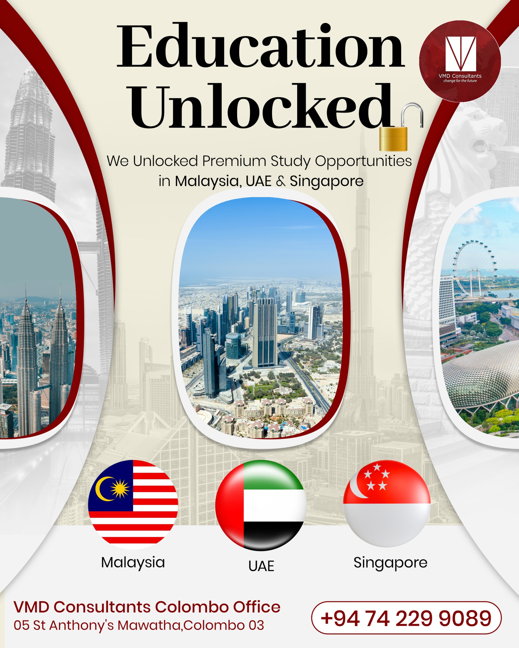 VMD Consulting Campaign Creative 4