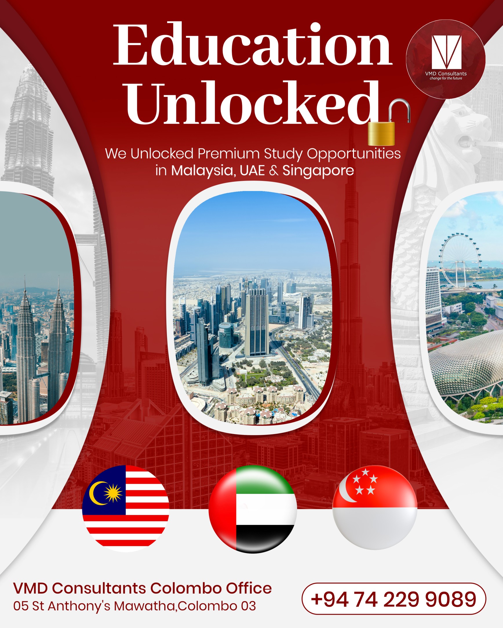 VMD Consulting Campaign Creative 5