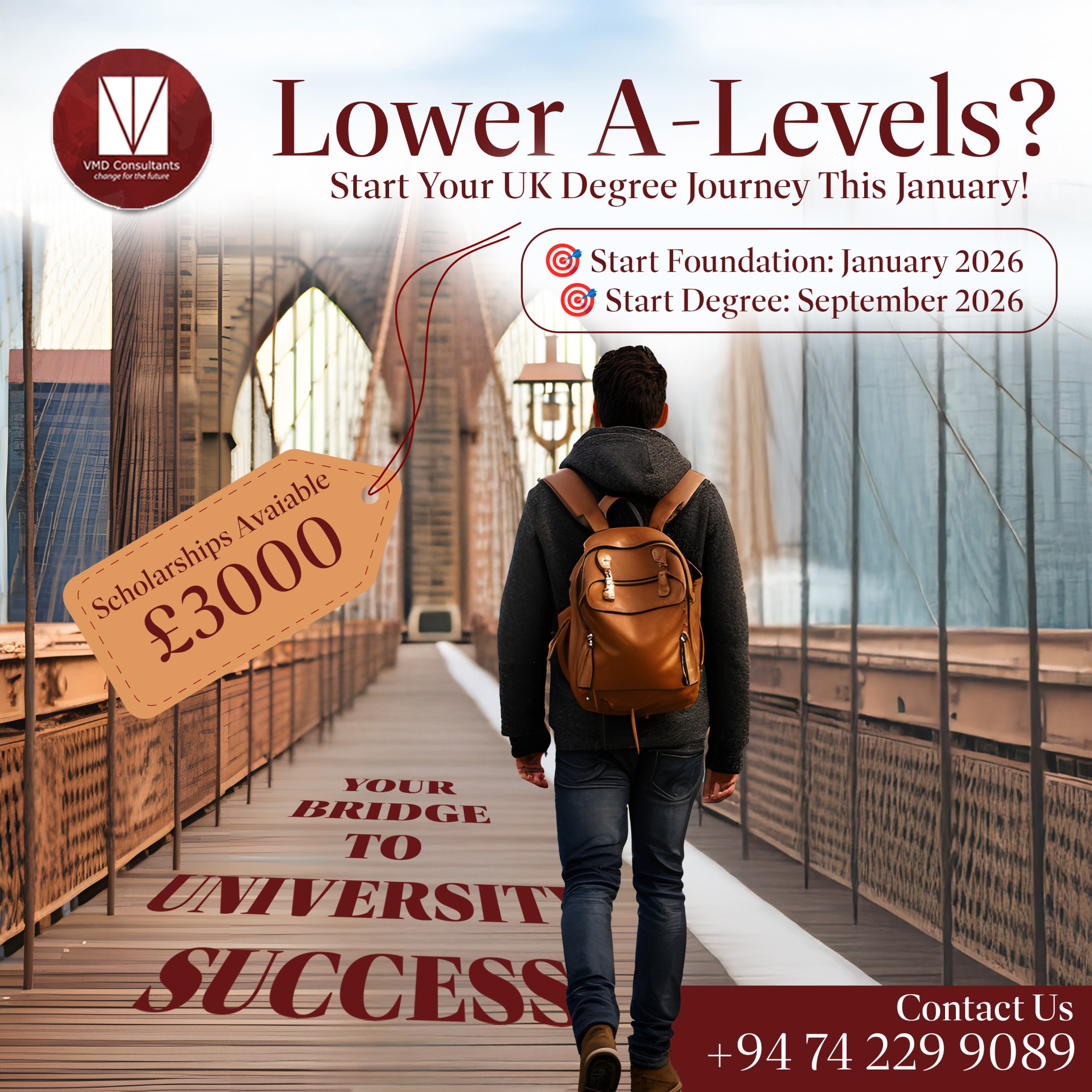 VMD Consulting Campaign Creative 9